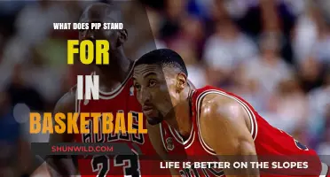 Understanding Basketball's PIP: A Performance Indicator