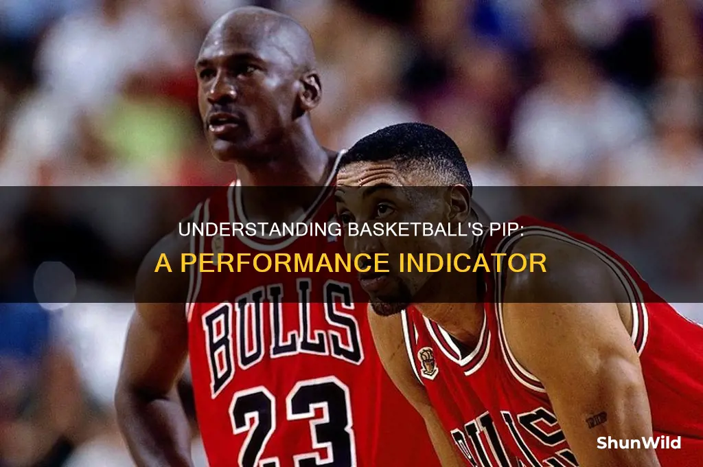 what does pip stand for in basketball