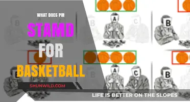Understanding PIR: Basketball's Secret Weapon
