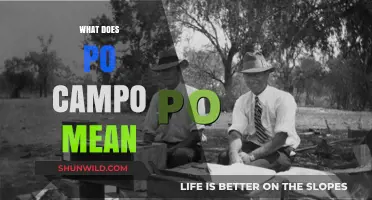 What Does Po Campo Mean? Unraveling the Meaning and Origin
