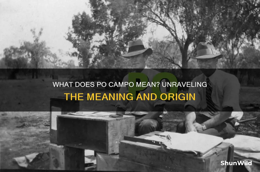 what does po campo mean