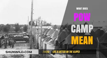 Understanding POW Camps: History, Purpose, and Life as a Prisoner of War
