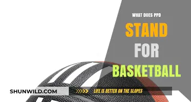Understanding Basketball's PPD: A Guide to the Metric