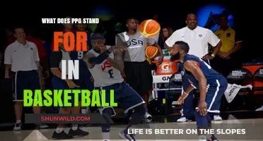 Understanding Basketball: The Meaning of PPG