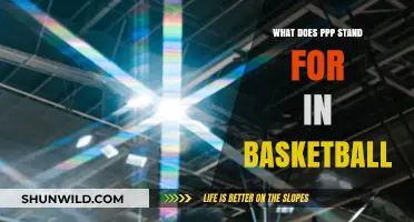 The Meaning of PPP in Basketball