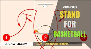 Understanding PPR: Basketball's Secret Weapon