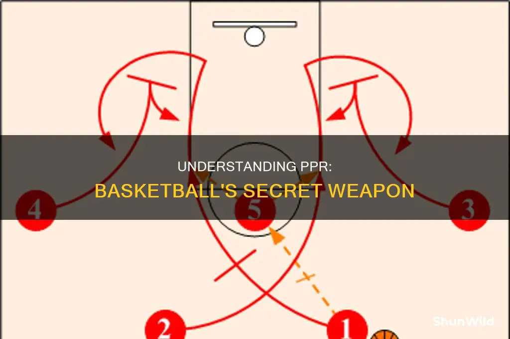 what does ppr stand for basketball