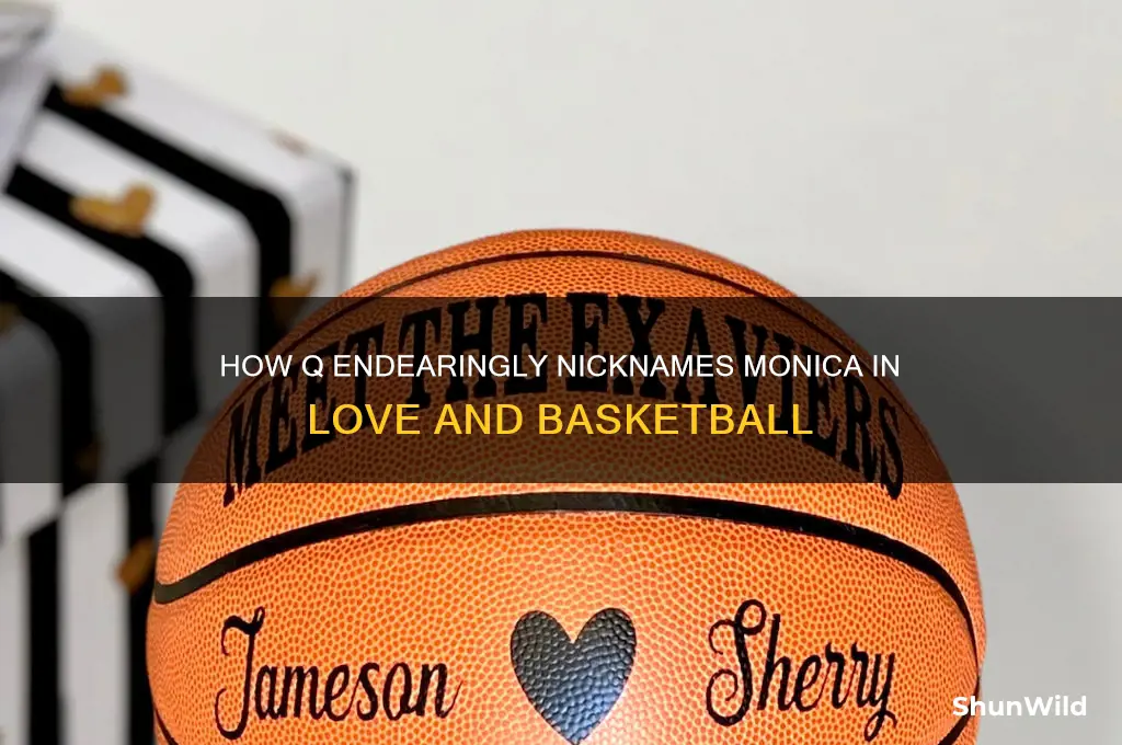 what does q call monica in love and basketball