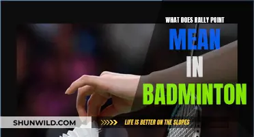 Understanding Rally Points: A Badminton Scoring System