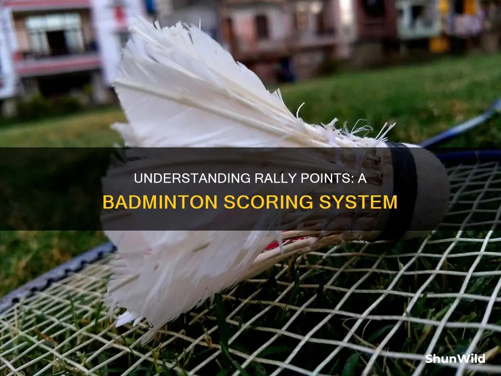 what does rally point mean in badminton