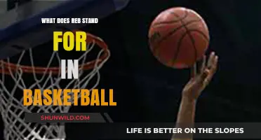 Rebounding Acronym: What Does REB Mean in Basketball?