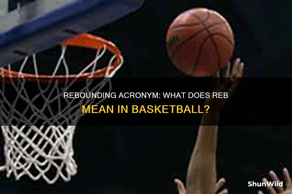what does reb stand for in basketball
