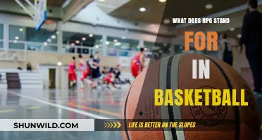 The RPG Meaning in Basketball: Stats and Player Performance