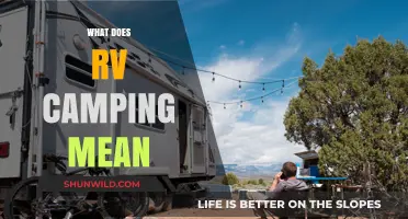 Understanding RV Camping: A Beginner's Guide to Life on the Road