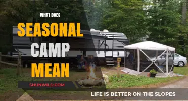 Understanding Seasonal Camps: Definition, Purpose, and Benefits Explained