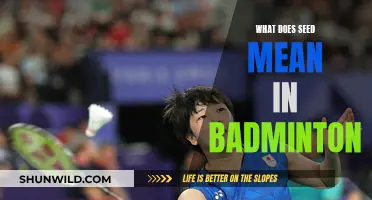 Badminton Seeding: Understanding Tournament Seedings