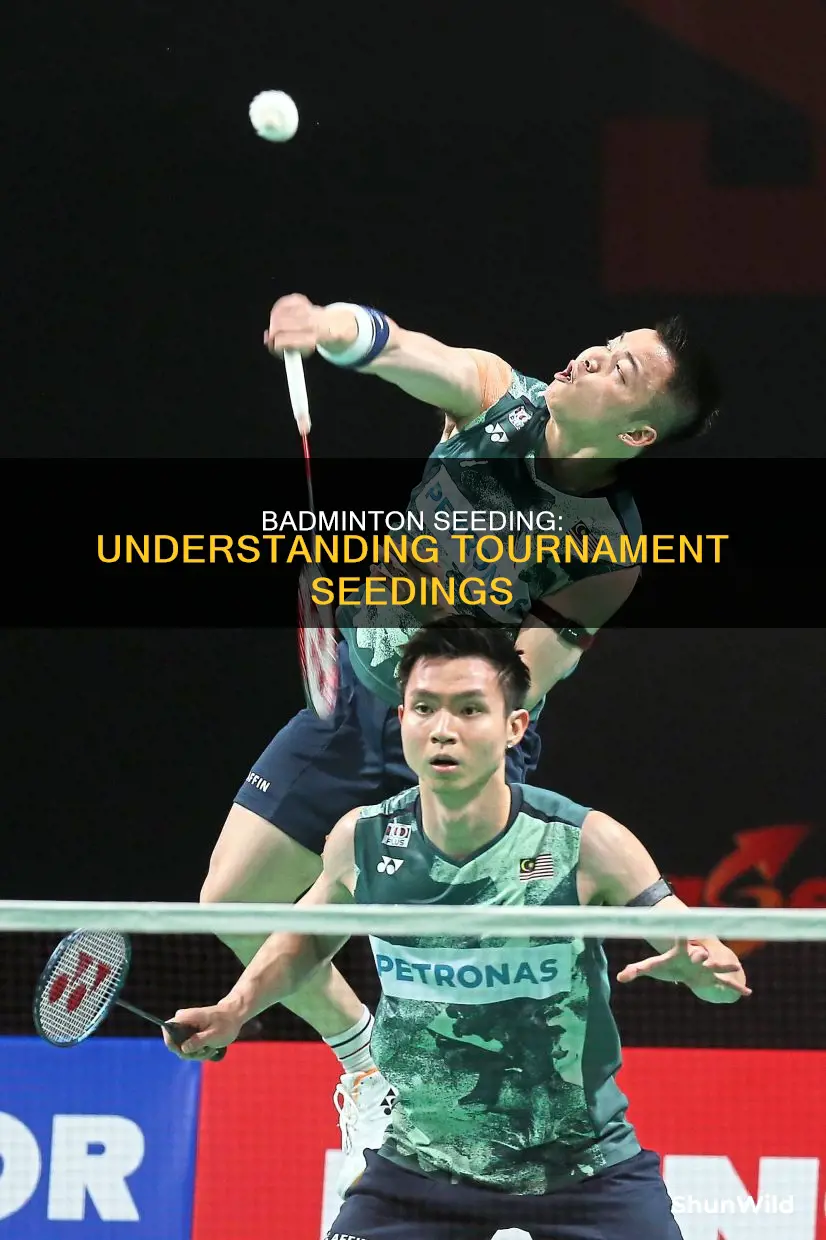 what does seed mean in badminton