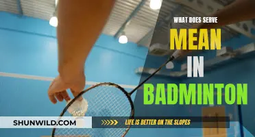 Understanding Badminton Serve Rules and Techniques