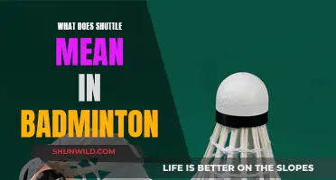 Understanding the Shuttle's Unique Role in Badminton