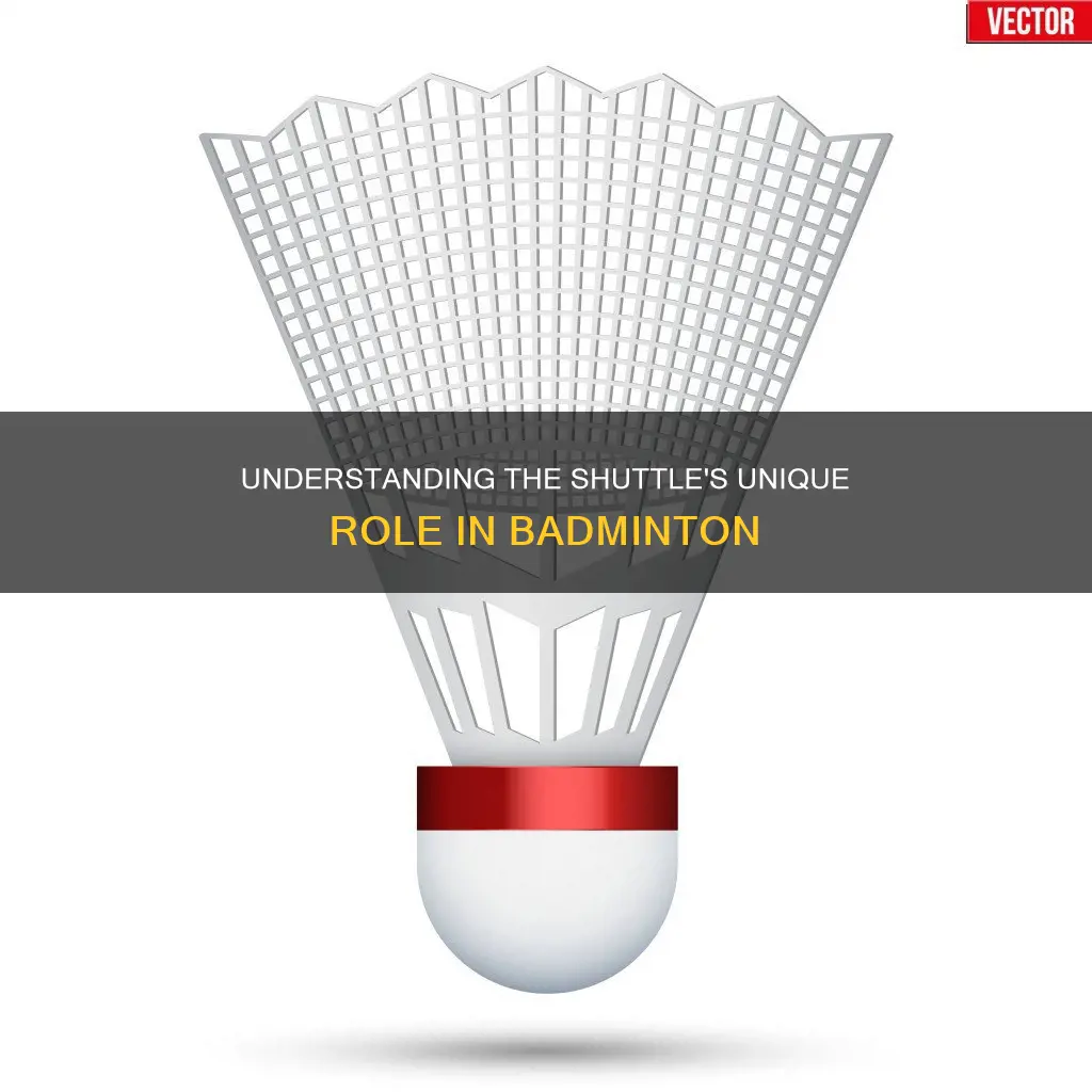 what does shuttle mean in badminton