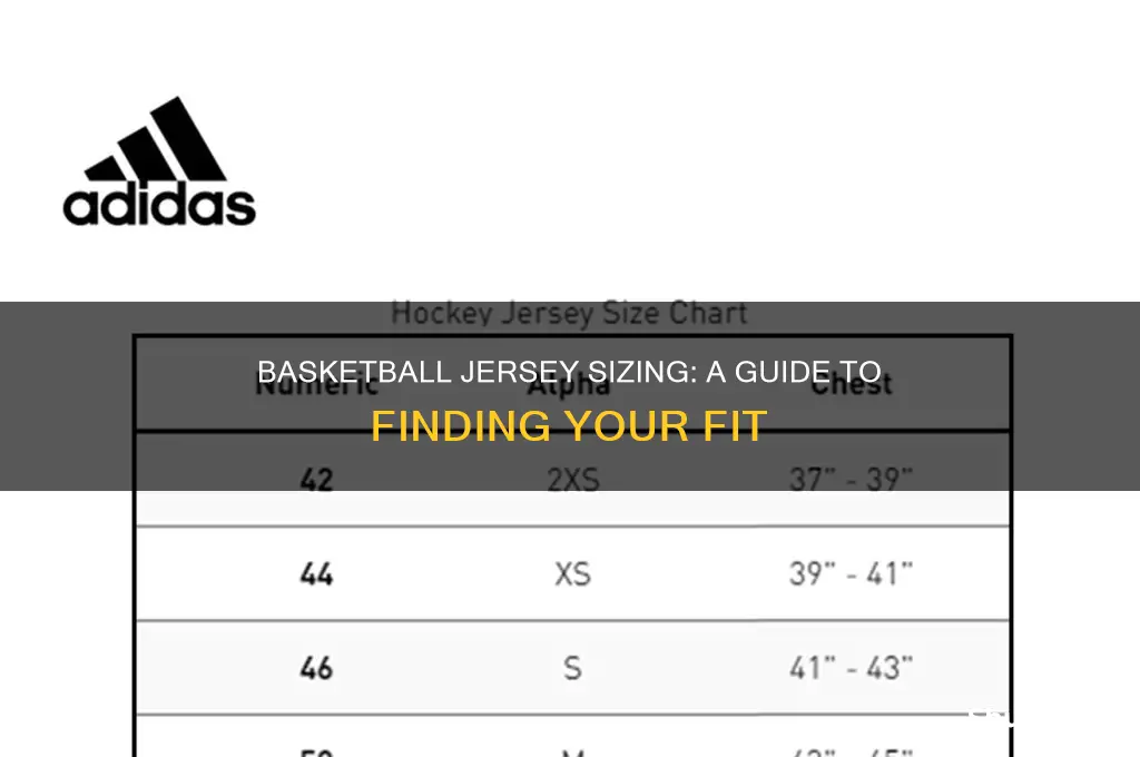 what does sizing look like on basketball jersey