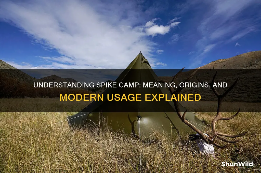 what does spike camp mean