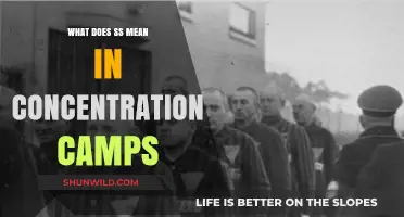 Unveiling the SS Symbol: Concentration Camps' Dark Legacy Explained