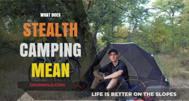 Understanding Stealth Camping: Tips, Techniques, and Legal Considerations for Discreet Outdoor Adventures