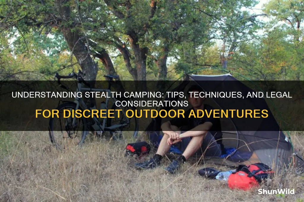 what does stealth camping mean