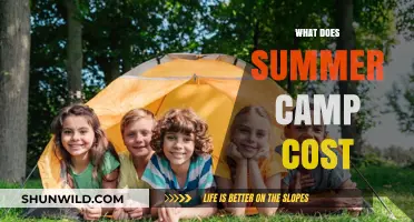 Summer Camp Costs Explained: Budgeting for Your Child's Adventure