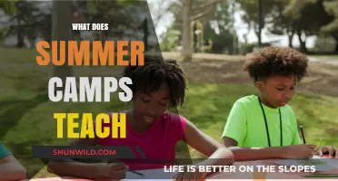 Summer Camps: Building Skills, Friendships, and Lifelong Lessons for Kids