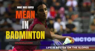 Badminton's Super Meaning: Scoring and Strategy