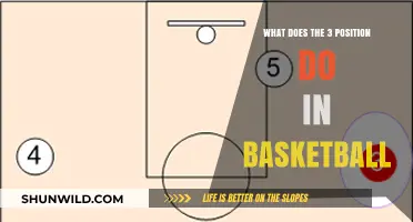Understanding the Dynamic Role of the 3-Position in Basketball