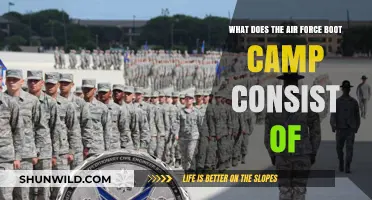 Air Force Boot Camp: Training, Challenges, and Daily Life Explained