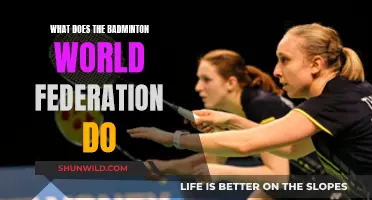 Badminton World Federation: Governing Body's Role Explained