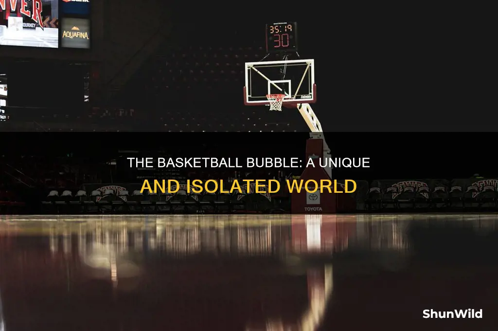 what does the basketball bubble look like