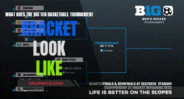Big Ten Basketball Tournament: Who's in the Running?