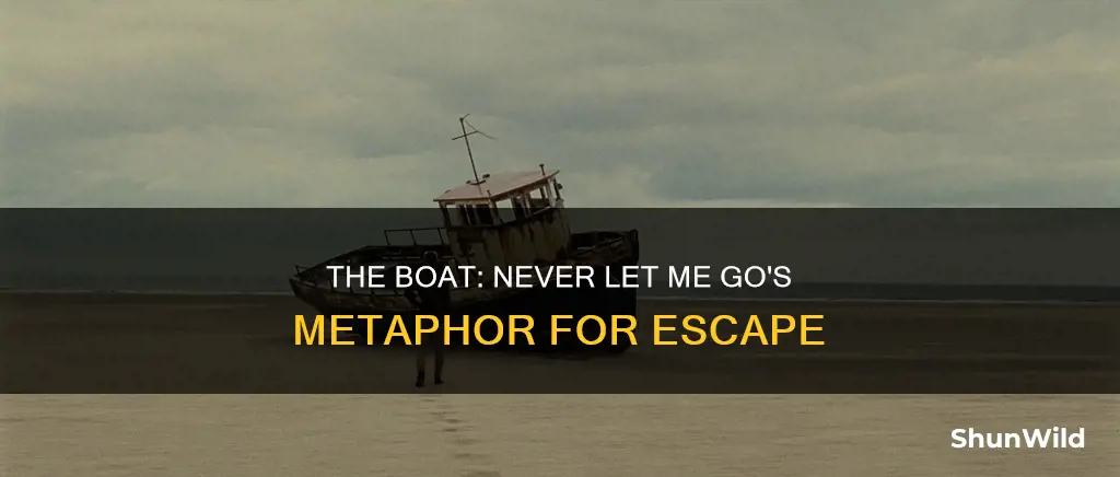 what does the boat symbolize in never let me go