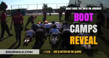 Juvenile Boot Camps: Unveiling Data Insights on Effectiveness and Outcomes