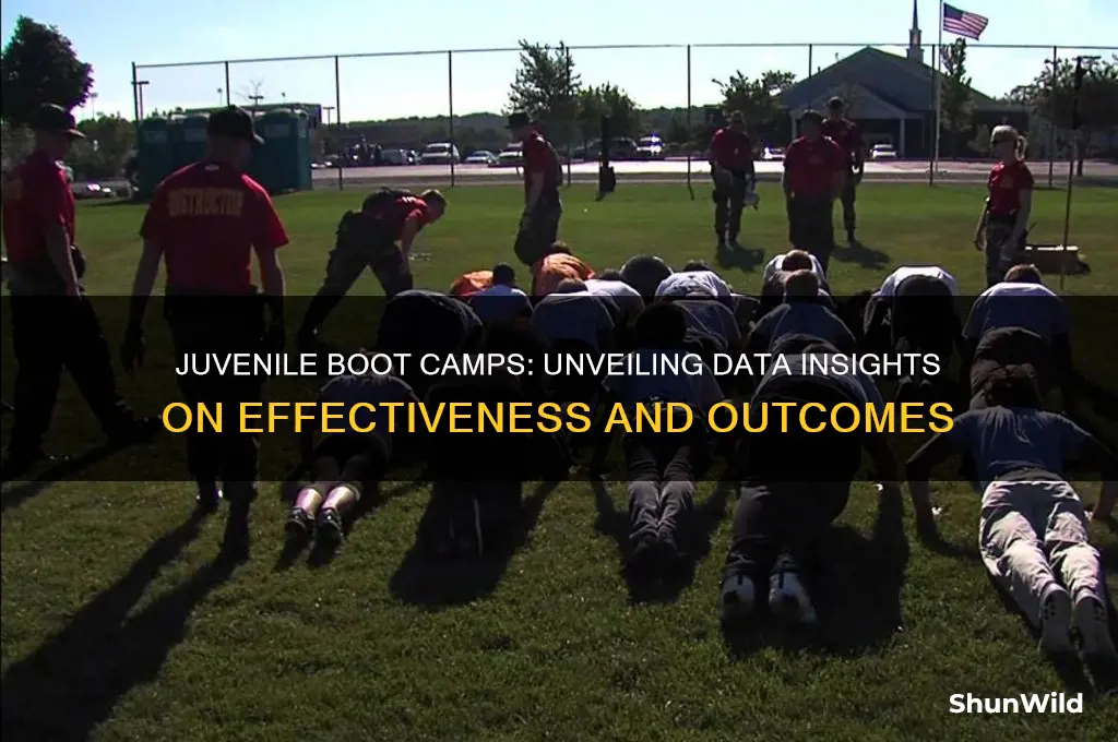 what does the data on juvenile boot camps reveal