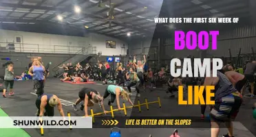 Surviving Boot Camp: Unveiling the Intense First Six Weeks Experience