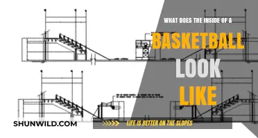 The Anatomy of a Basketball: Inside the Rock