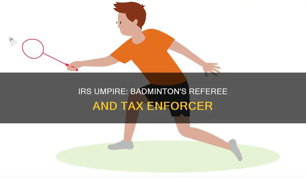 what does the irs umpire do in badminton