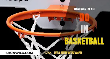 Net Results: Basketball's Scoring Zone