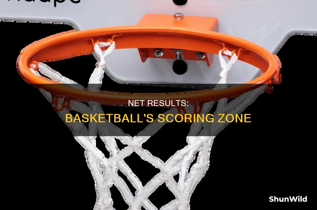 what does the net do in basketball