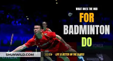 The NGB: Governing Badminton in the UK