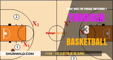 Basketball Strategy: Secrets of 'Switching 1 Through 3