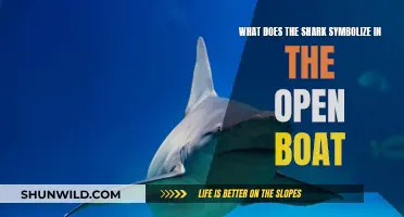 The Open Boat: Shark as a Symbol of Nature's Indifference