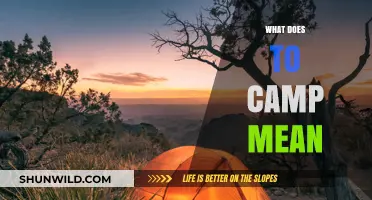 Exploring the Great Outdoors: What Does It Mean to Camp?