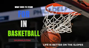 Understanding the 'TO' Stat in Basketball